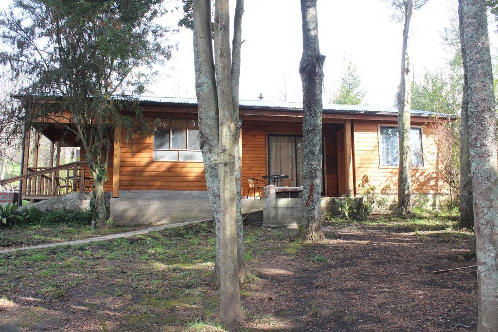 פנגיפולי Apart Hotel Puchaley Lafquen מראה חיצוני תמונה
